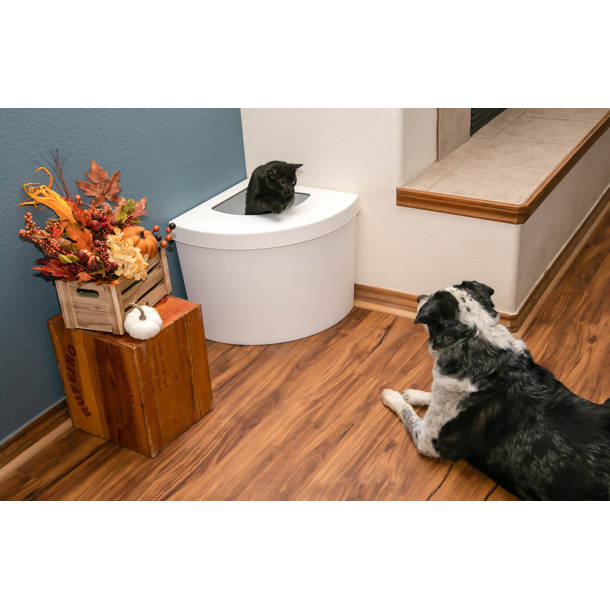 Kitangle, LLC Standard Litter Box & Reviews Wayfair